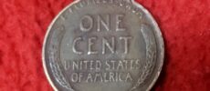 Bear Country Coins – Kingman, AZ