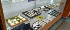 Oakland Coin & Jewelry Exchange – Oakland, CA